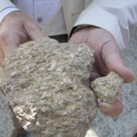 Clay Limestone Soil