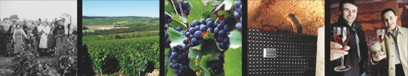 Champagne_GAUTHEROT_photo